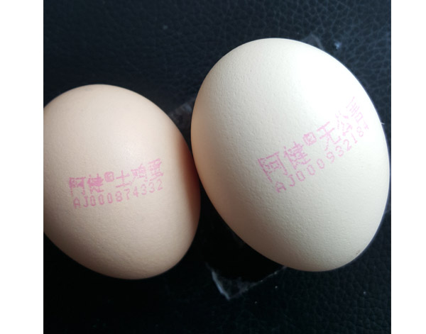 墨水噴碼機(jī)噴印效果19